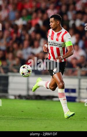 EINDHOVEN - Cody Gakpo vom PSV während des UEFA Champions League-Play-off-Spiels zwischen PSV Eindhoven und dem Rangers FC am 24. August 2022 im Phillips Stadium in Eindhoven, Niederlande. ANP OLAF KRAAK Stockfoto