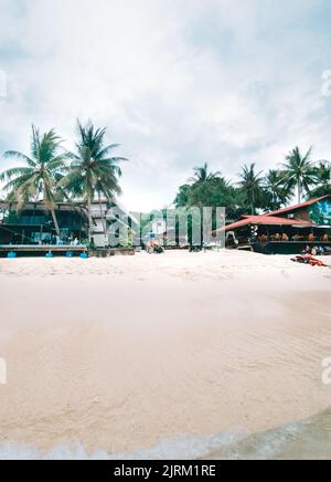 Blick auf das tropische Resort mit Bäumen und Traktoren Stockfoto