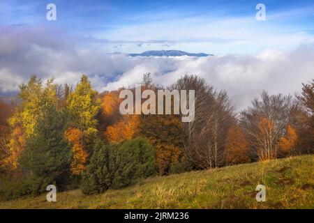 Wunderschöne Herbst-Foggy-Landschaft ias vom Gipfel des Puigsacalm Peak aus gesehen, Katalonien Stockfoto