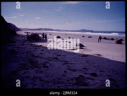 The Moeraki Boulders - sphärische septarische Konkretionen ..., 24. März 1959-13. April 1959, Neuseeland, von Leslie Adkin. Geschenk der Adkin-Familie, 1997. Stockfoto