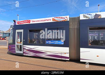 Blackpool Tramways, Bombardier Tram 006, mit Tunnocks Werbung auf der Blackpool Promenade, Lancashire, England, Großbritannien Stockfoto