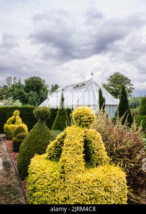 Die topiary Hecken in Eythrope Gardens auf dem Landgut Waddesdon Manor. Stockfoto