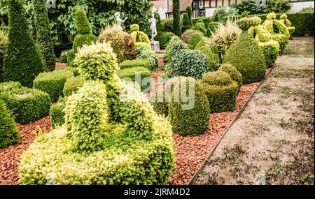 Die topiary Hecken in Eythrope Gardens auf dem Landgut Waddesdon Manor. Stockfoto