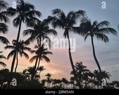 Atemberaubende Landschaften von Aruba mit Blick auf die Insel Aruba Stockfoto