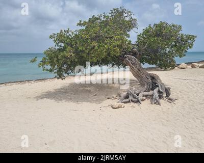 Atemberaubende Landschaften von Aruba mit Blick auf die Insel Aruba Stockfoto