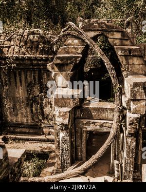 Ruinen als Mela Angkor Tempel in Kambodscha. Stockfoto