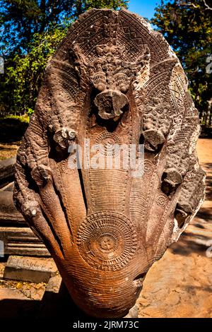 Am Eingang zum Beng Melia Angkor Tempel begrüßt ein Steinschlange Cobr Head die Touristen. Stockfoto