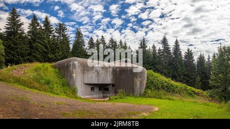 Militärbunker R-H-S 76 Lom in Orlicke hory, Tschechische republik, tschechoslowakische Grenzbefestigungen vor dem Zweiten Weltkrieg Stockfoto