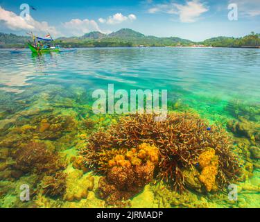 Genießen Sie einen tropischen Strandurlaub. Genießen Sie die Schönheit der Korallenriffe. Indonesische Landschaften tropische Strände. Stockfoto