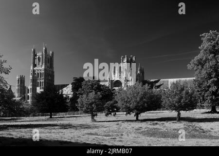 Sommerblick über Ely Cathedral; Ely City; Cambridgeshire; England; Großbritannien Stockfoto