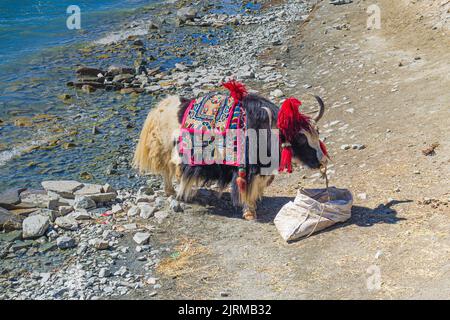 Der Yangzhuo Yongcuo See, auch bekannt als schlanker Westsee, liegt in der Nähe von Lhasa, Tibet, China - Aufnahme auf dem Tibetischen Freundschaftsautobahn. Stockfoto