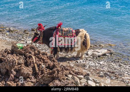 Der Yangzhuo Yongcuo See, auch bekannt als schlanker Westsee, liegt in der Nähe von Lhasa, Tibet, China - Aufnahme auf dem Tibetischen Freundschaftsautobahn. Stockfoto