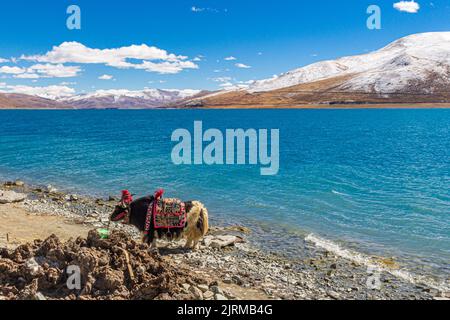 Der Yangzhuo Yongcuo See, auch bekannt als schlanker Westsee, liegt in der Nähe von Lhasa, Tibet, China - Aufnahme auf dem Tibetischen Freundschaftsautobahn. Stockfoto