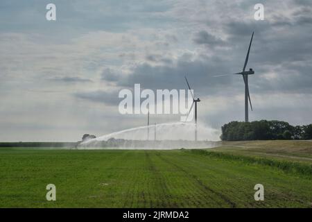 Bewässerungsregner auf Ackerland vor einem Windpark mit Windkraftanlagen in den Niederlanden Stockfoto