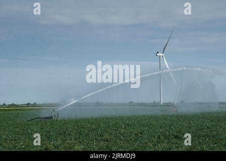 Bewässerungsregner auf Ackerland vor einem Windpark mit Windkraftanlagen in den Niederlanden Stockfoto