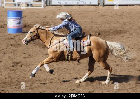 2022 Belle Fourche, SD-Rodeo! Stockfoto