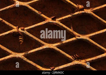 Verwitterter und korrodierter rostiger Metalldraht Stockfoto