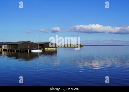 Landschaft mit Blick auf einen See im Müritz-Nationalpark. Mecklenburgische Seenplatte. Stockfoto