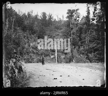 Mitten in Bushy Bend, Remutaka [Rimutaka] Hill, Blick nach Wellington, NZ, um 1875, Upper Hutt, von James Bragge. Stockfoto