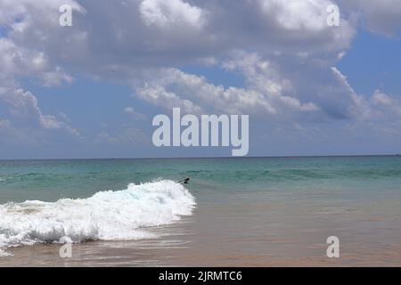 Perfekte Wellen, Cacimba Strand, Fernando de Noronha Insel, Brasilien Stockfoto