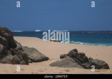 Perfekte Wellen, Cacimba Strand, Fernando de Noronha Insel, Brasilien Stockfoto