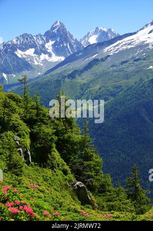 Sommer Berglandschaft. Aiguille du Chardonnet und Aiguille d'Argentiere, Naturschutzgebiet Aiguilles Rouges, Graian Alps, Frankreich, Europa. Stockfoto