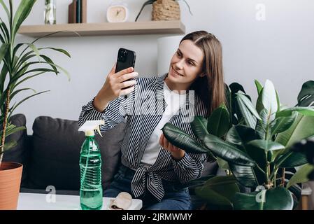 Lächelnd nette junge Frau Floristen blogger mit Pflanzen im Topf auf Handy-Kamera fotografiert. Home Pflanzenzüchtung, Gartenarbeit, Hausfrau, Arbeit Stockfoto