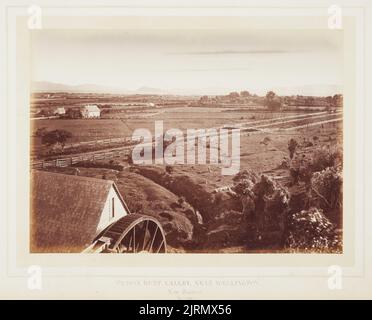 Petone Hutt Valley, in der Nähe von Wellington, Neuseeland. Aus dem Album: New Zealand Scenery: Wellington to the Wairarapa., Mitte 1870s, Wellington, von James Bragge. Stockfoto
