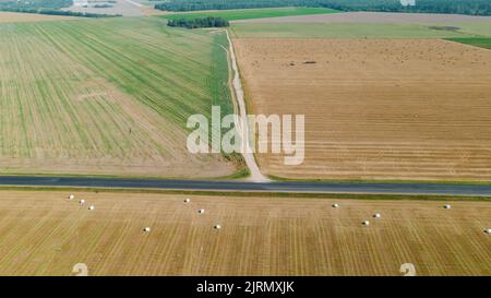 Blick von oben auf Siloballen im Feld. Stockfoto