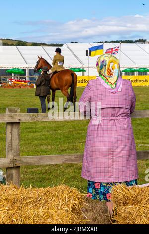 Melplash, Bridport, Dorset, Großbritannien. 25.. August 2022. Tausende strömen zur beliebten Melplash Show in Dorset für die eintägige Veranstaltung, während die Sonne aufging. Der Ausstellungsgelände ist voll mit Ausstellungen wie Vieh, Pferden, Heimfahrzeugen und Gartenbau., sowie unterhaltsamen Veranstaltungen in den Arenen. Quelle: Carolyn Jenkins/Alamy Live News Stockfoto