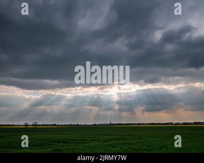 Eine schöne Aussicht auf Sonnenstrahlen, die durch Wolken auf dem Feld kommen Stockfoto