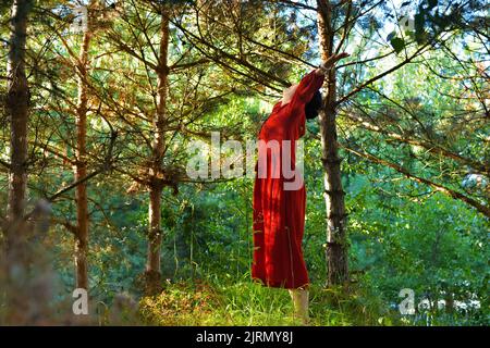 Ältere asiatische Frau - Schamane (Hexenärztin) in einem leuchtend roten ethnischen Kleid in einem Pinienwald genießt den Sonnenaufgang. Schamane (Zauberin) steht zwischen einem tr Stockfoto