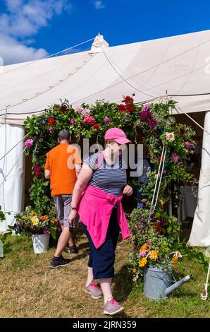 Melplash, Bridport, Dorset, Großbritannien. 25.. August 2022. Tausende strömen zur beliebten Melplash Show in Dorset für die eintägige Veranstaltung, während die Sonne aufging. Der Ausstellungsgelände ist voll mit Ausstellungen wie Vieh, Pferden, Heimfahrzeugen und Gartenbau., sowie unterhaltsamen Veranstaltungen in den Arenen. Quelle: Carolyn Jenkins/Alamy Live News Stockfoto