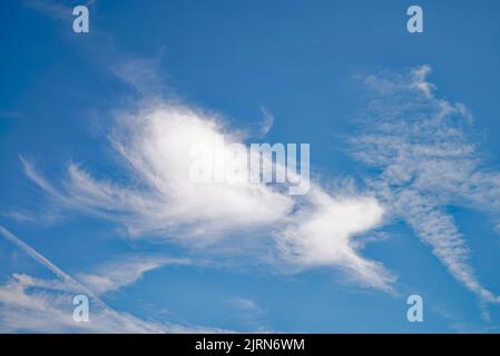 Zufällige abstrakte unregelmäßige Formen, die von wispy weißen Wolken in großer Höhe gegen einen tiefblauen Himmel gebildet werden Stockfoto