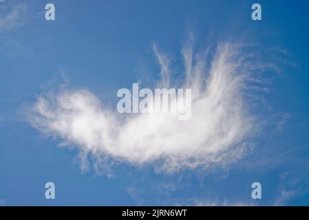 Zufällige abstrakte unregelmäßige Formen, die von wispy weißen Wolken in großer Höhe gegen einen tiefblauen Himmel gebildet werden Stockfoto