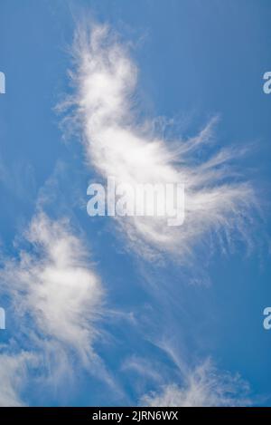 Zufällige abstrakte unregelmäßige Formen, die von wispy weißen Wolken in großer Höhe gegen einen tiefblauen Himmel gebildet werden Stockfoto