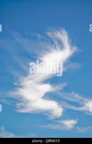 Zufällige abstrakte unregelmäßige Formen, die von wispy weißen Wolken in großer Höhe gegen einen tiefblauen Himmel gebildet werden Stockfoto