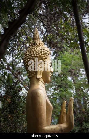 Eine vertikale Aufnahme der Buddha-Statue in einem Park Stockfoto