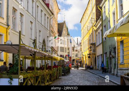 Eine malerische gepflasterte Straße mit Straßencafés und Geschäften in der Nähe des Bishop's House in der mittelalterlichen Altstadt von Tallinn, in der Ostseeregion im Norden Stockfoto
