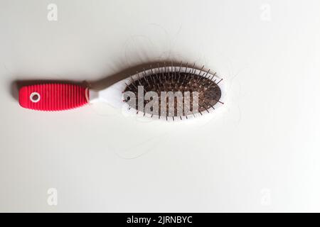 Unschärfe-Kamm mit Haarausfall. Haarverlustproblem, postpartale Periode, Stresskonzept. Viele Haare fallen nach dem Kämmen mit der Haarbürste. Weibchen entwirrt ihren hai Stockfoto