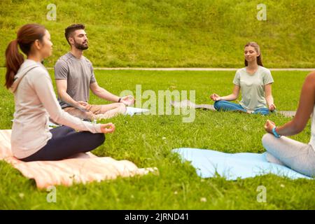 Eine Gruppe von Menschen, die im Sommerpark Yoga machen Stockfoto