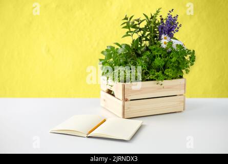 Notizbuch mit Kräutern und Blumen in Holzkiste Stockfoto