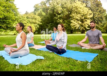Eine Gruppe von Menschen, die im Sommerpark Yoga machen Stockfoto