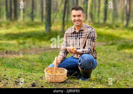 Glücklicher Mann mit Korb Pilze im Wald pflücken Stockfoto