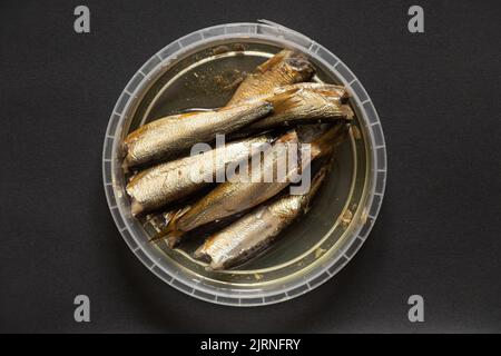 Sprotten in Öl liegen in einer Plastikverpackung auf einem isolierten Hintergrund, Meeresfrüchte, Fisch Stockfoto