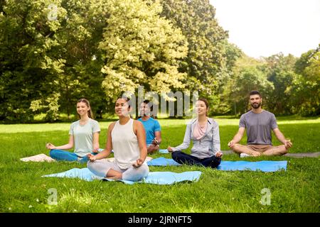 Eine Gruppe von Menschen, die im Sommerpark Yoga machen Stockfoto