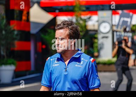 ALONSO Fernando (SPA), Alpine F1 Team A522, Portrait während des Formel 1 Rolex Grand Prix von Belgien 2022, 14. Lauf der FIA Formel 1 Weltmeisterschaft 2022 vom 26. Bis 28. August 2022 auf dem Circuit de Spa-Francorchamps, in Francorchamps, Belgien - Foto Paul Vaicle / DPPI Stockfoto