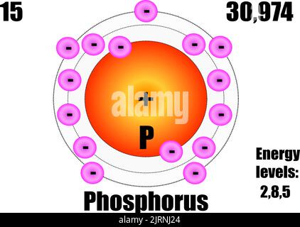 Phosphoratom, mit Masse- und Energieniveaus. Vektorgrafik Stock Vektor