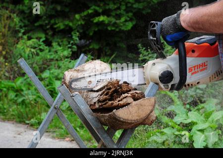 Das Schneiden von Baumstämmen in Bereitschaft für den Winter. Stockfoto