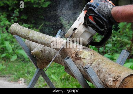 Das Schneiden von Baumstämmen in Bereitschaft für den Winter. Stockfoto